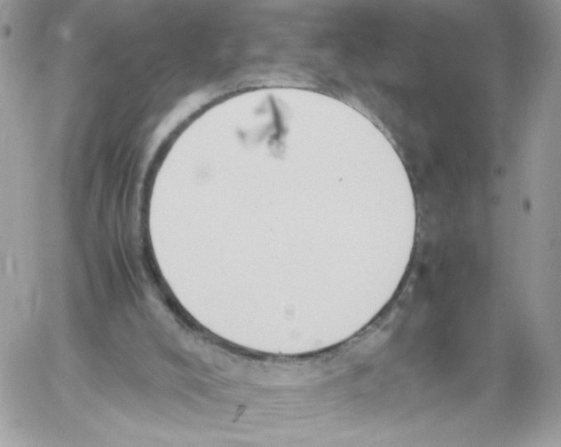 X0000061720008200512302132