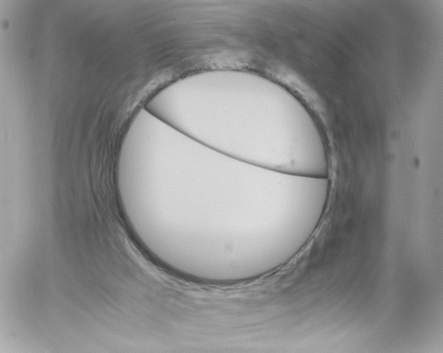 X0000061720009200512302132