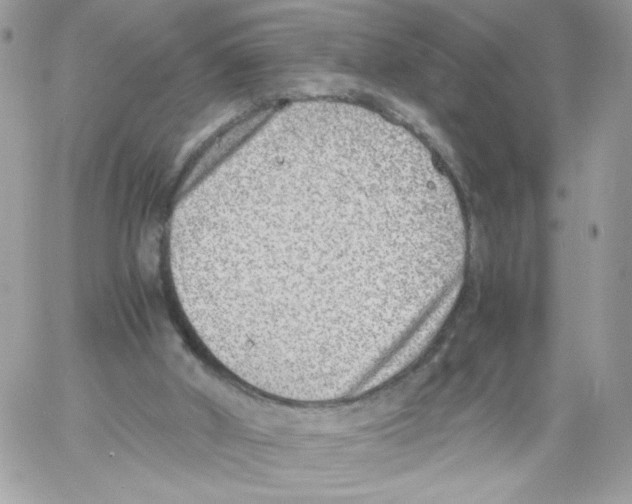 X0000061720010200512302132