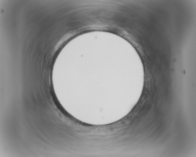 X0000061720011200512302132