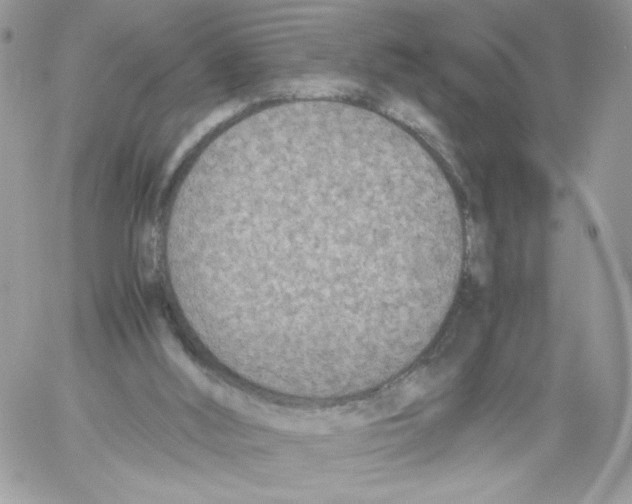 X0000061720012200512302132