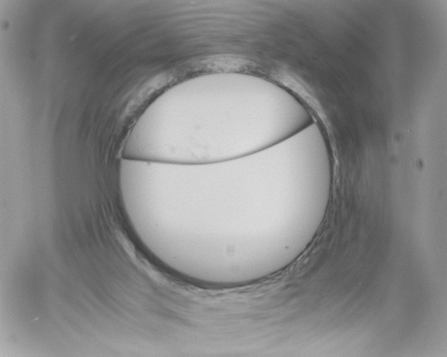 X0000061720013200512302132