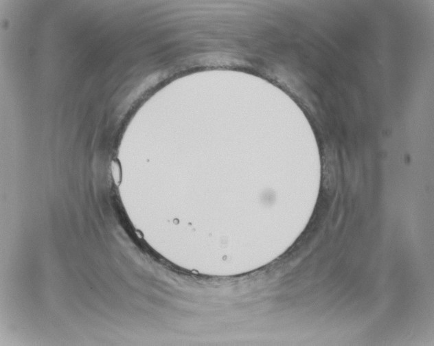 X0000061720015200512302132