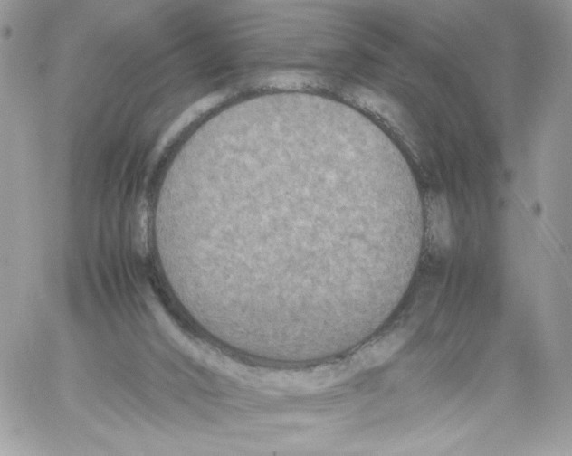 X0000061720016200512302131