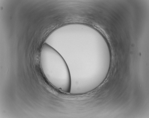 X0000061720017200512302131