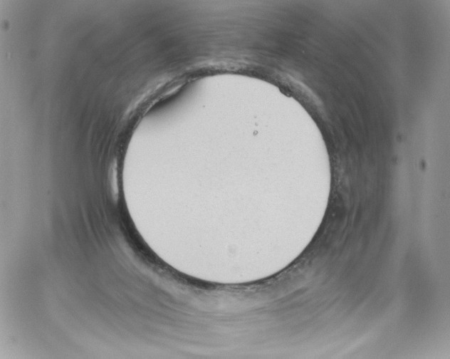 X0000061720020200512302131