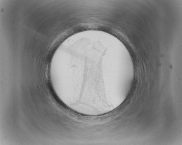 X0000061720023200512302131