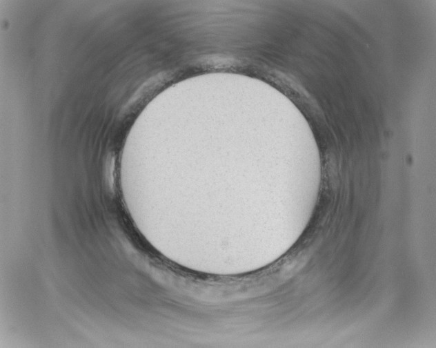 X0000061720024200512302131