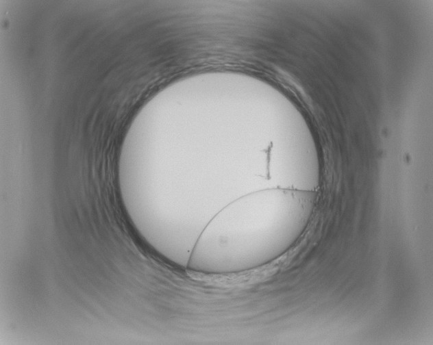 X0000061720025200512302131