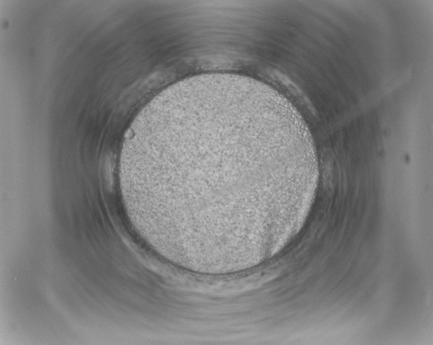 X0000061720026200512302131