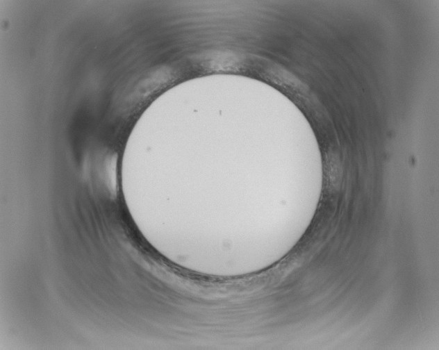 X0000061720028200512302131