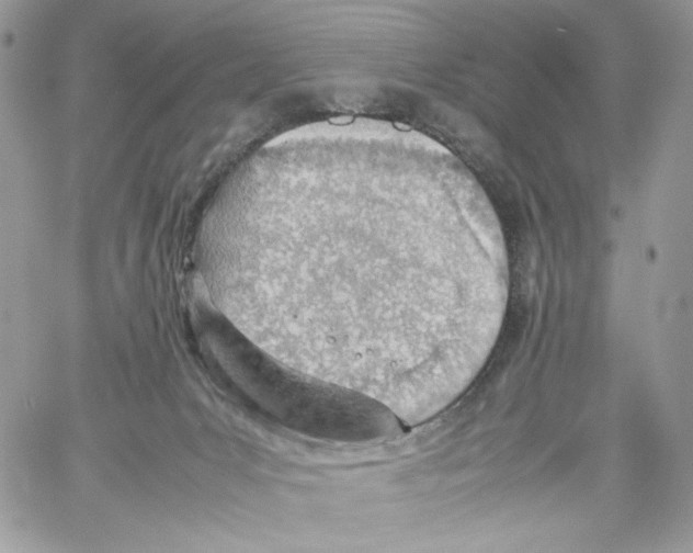 X0000061720031200512302131