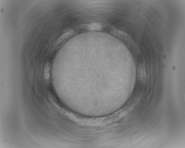 X0000061720032200512302131