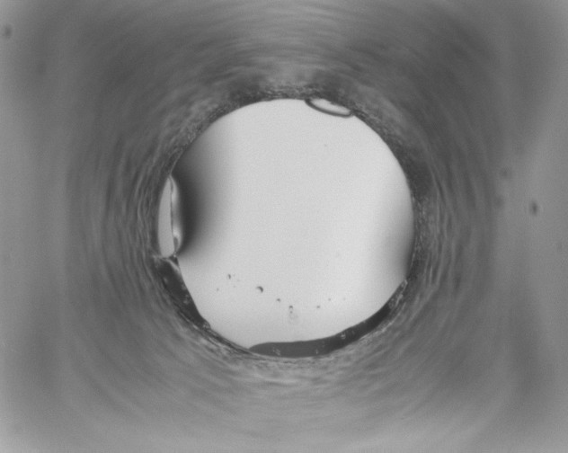 X0000061720033200512302131