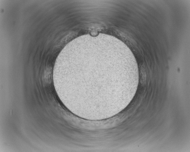 X0000061720034200512302131