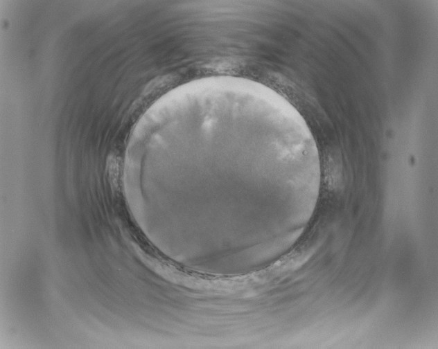 X0000061720036200512302131