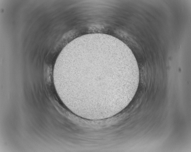 X0000061720038200512302131