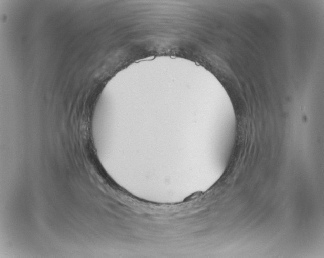 X0000061720039200512302131