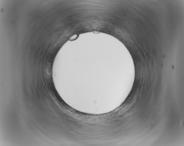 X0000061720040200512302131