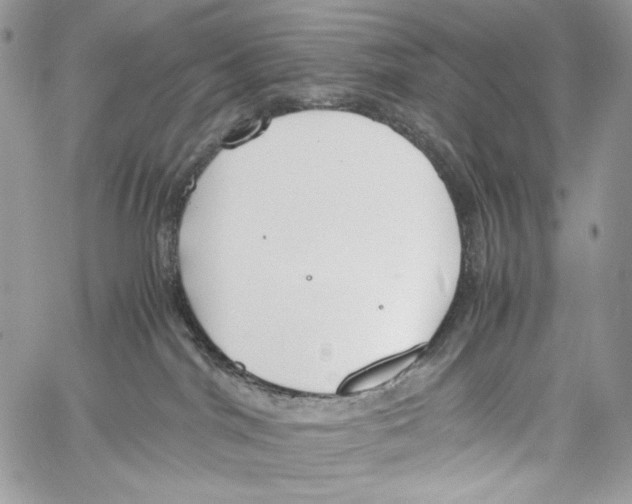 X0000061720044200512302131