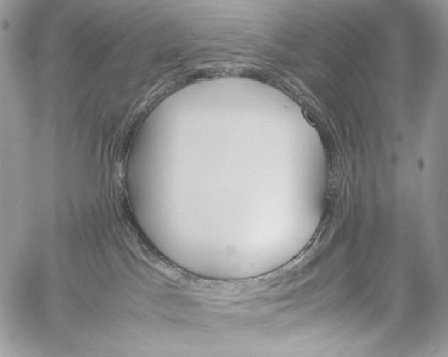 X0000061720045200512302131