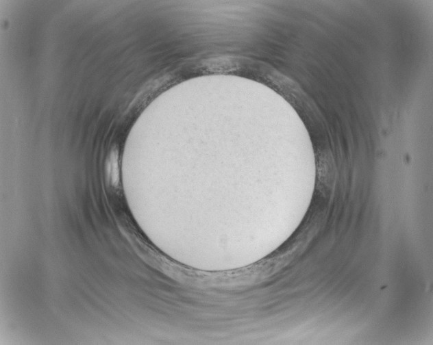 X0000061720046200512302131