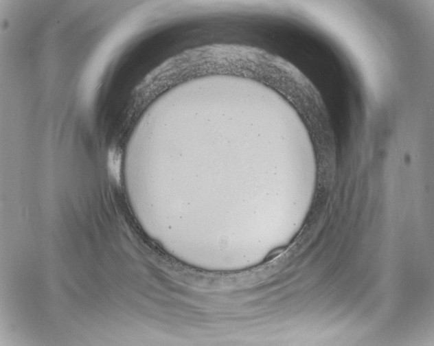 X0000061720047200512302131