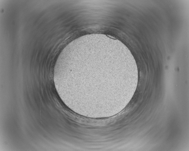 X0000061720048200512302131