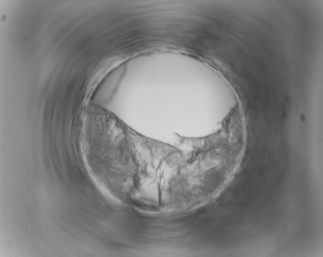 X0000061720049200512302130