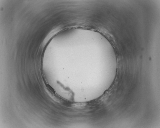 X0000061720051200512302130