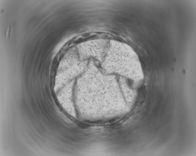 X0000061720052200512302130