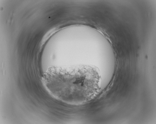 X0000061720053200512302130