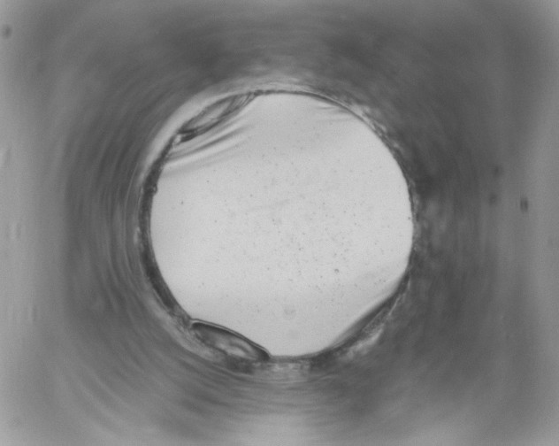 X0000061720056200512302130