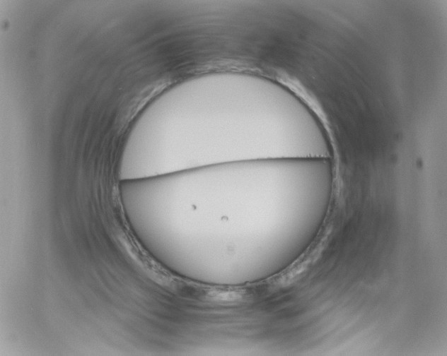 X0000061720057200512302130