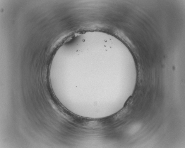 X0000061720058200512302130