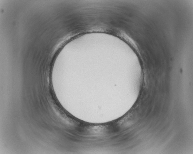 X0000061720059200512302130