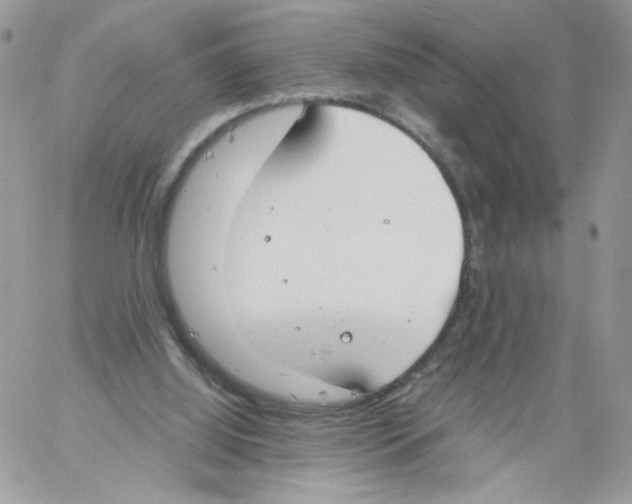 X0000061720060200512302130