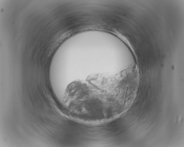 X0000061720061200512302130