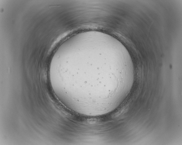 X0000061720064200512302130