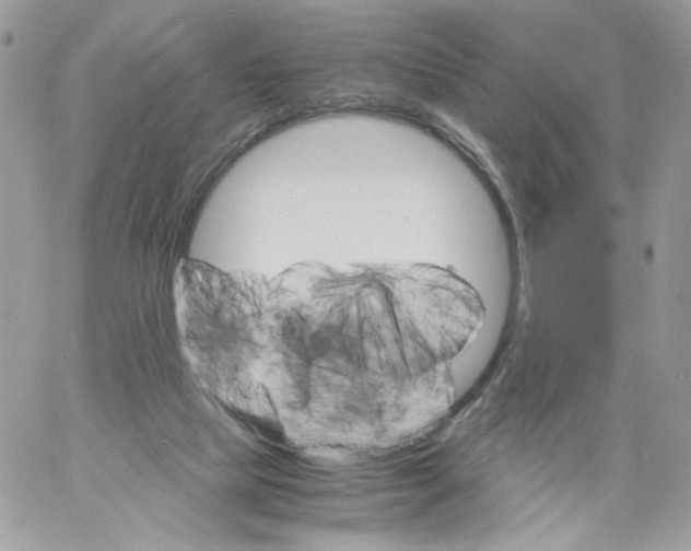 X0000061720065200512302130