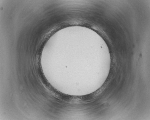 X0000061720066200512302130