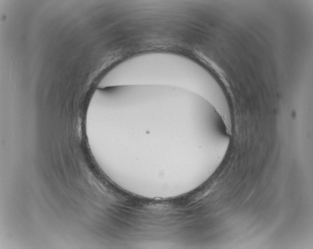 X0000061720067200512302130