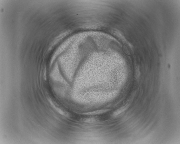 X0000061720068200512302130