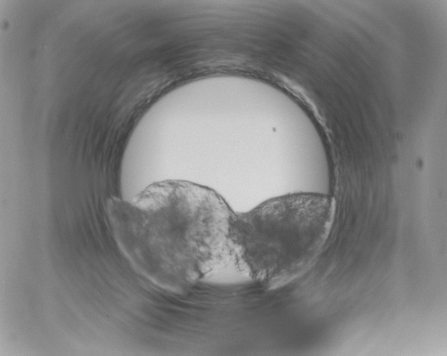 X0000061720069200512302130