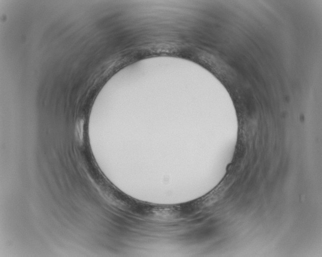 X0000061720070200512302131