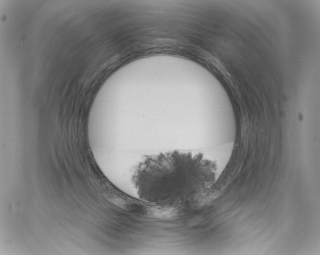 X0000061720073200512302131