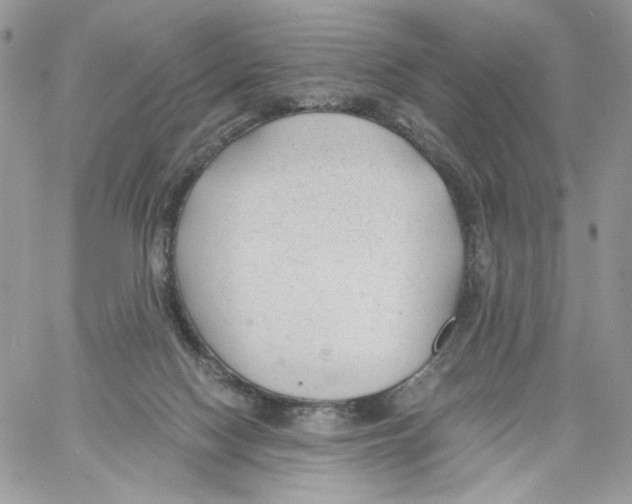 X0000061720074200512302131