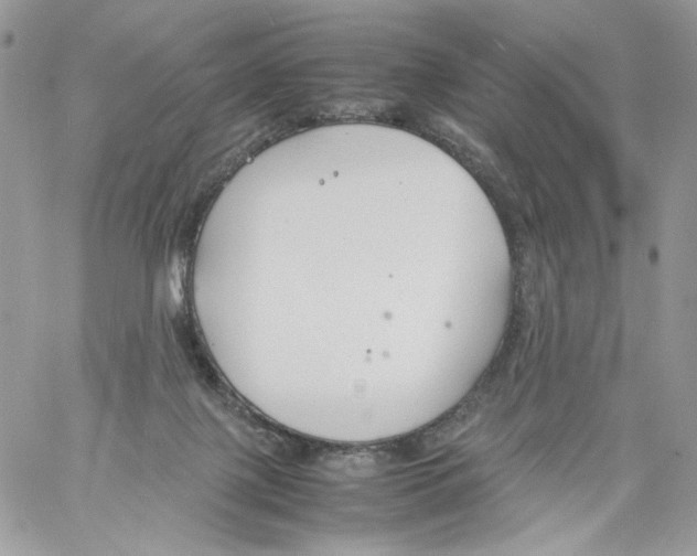 X0000061720075200512302131