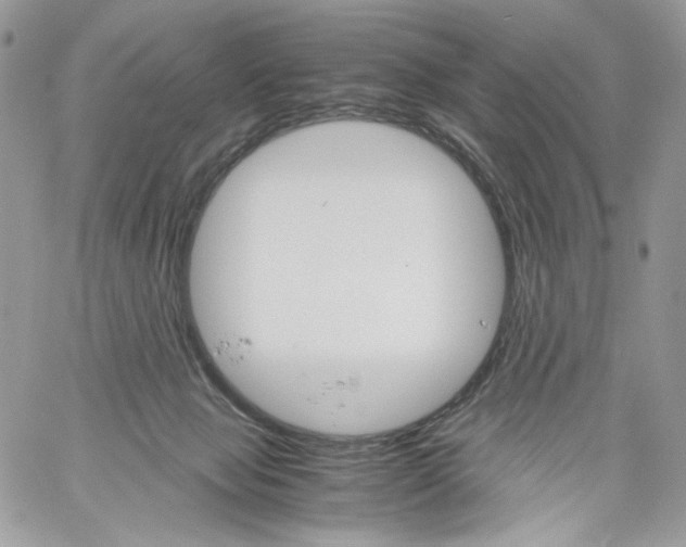 X0000061720077200512302131