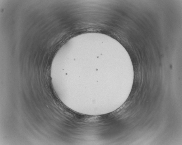 X0000061720078200512302131